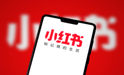 小紅書成功注冊(cè)“老紅書”！商標(biāo)駁回不代表失敗？